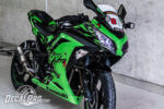 Ninja 300 Green Crazy Wolf