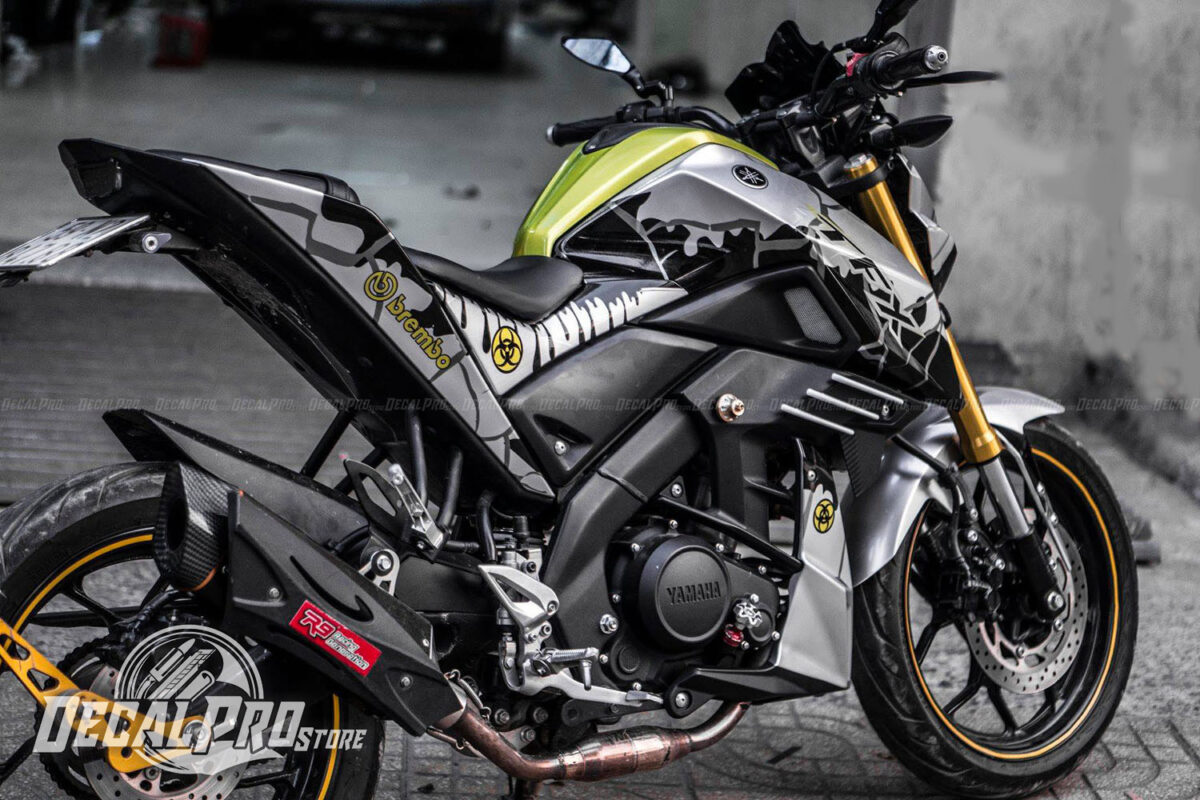 TFX Painting Brembo - Ảnh 4